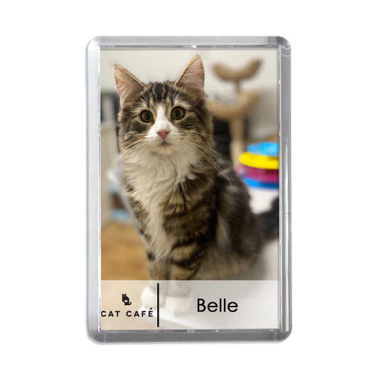 Cat Cafe Liverpool Magnet - Belle