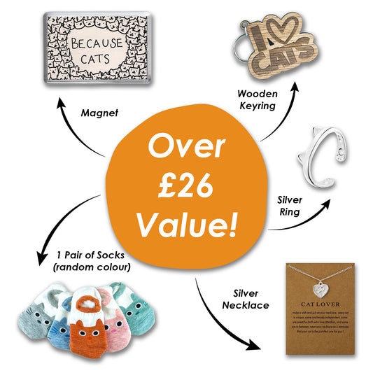 Cat Lover Hamper Box - I Love Cats - Letterbox Gift