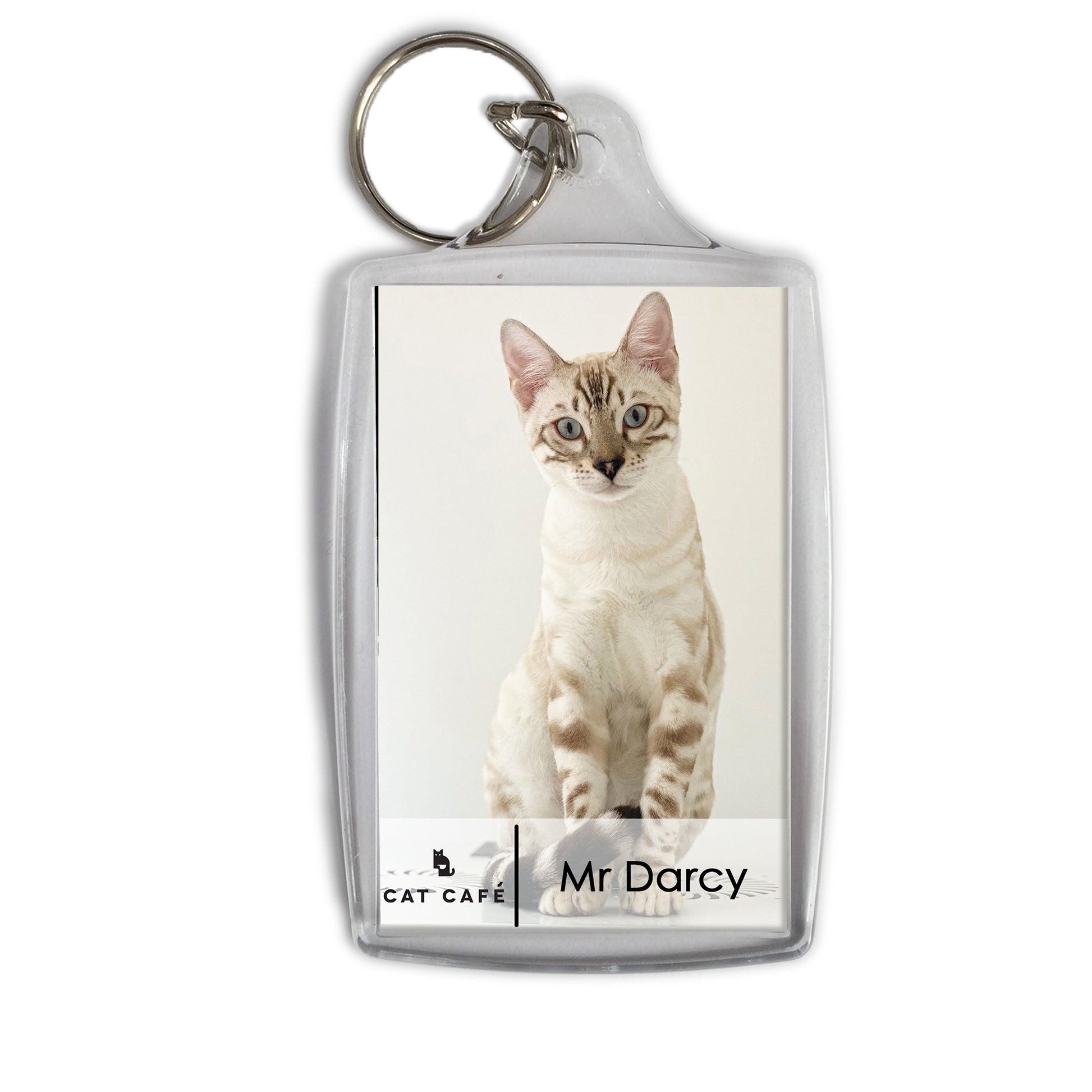 Cat Cafe Liverpool Keyring - Mr Darcy