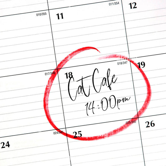 VIP Booking Calendar