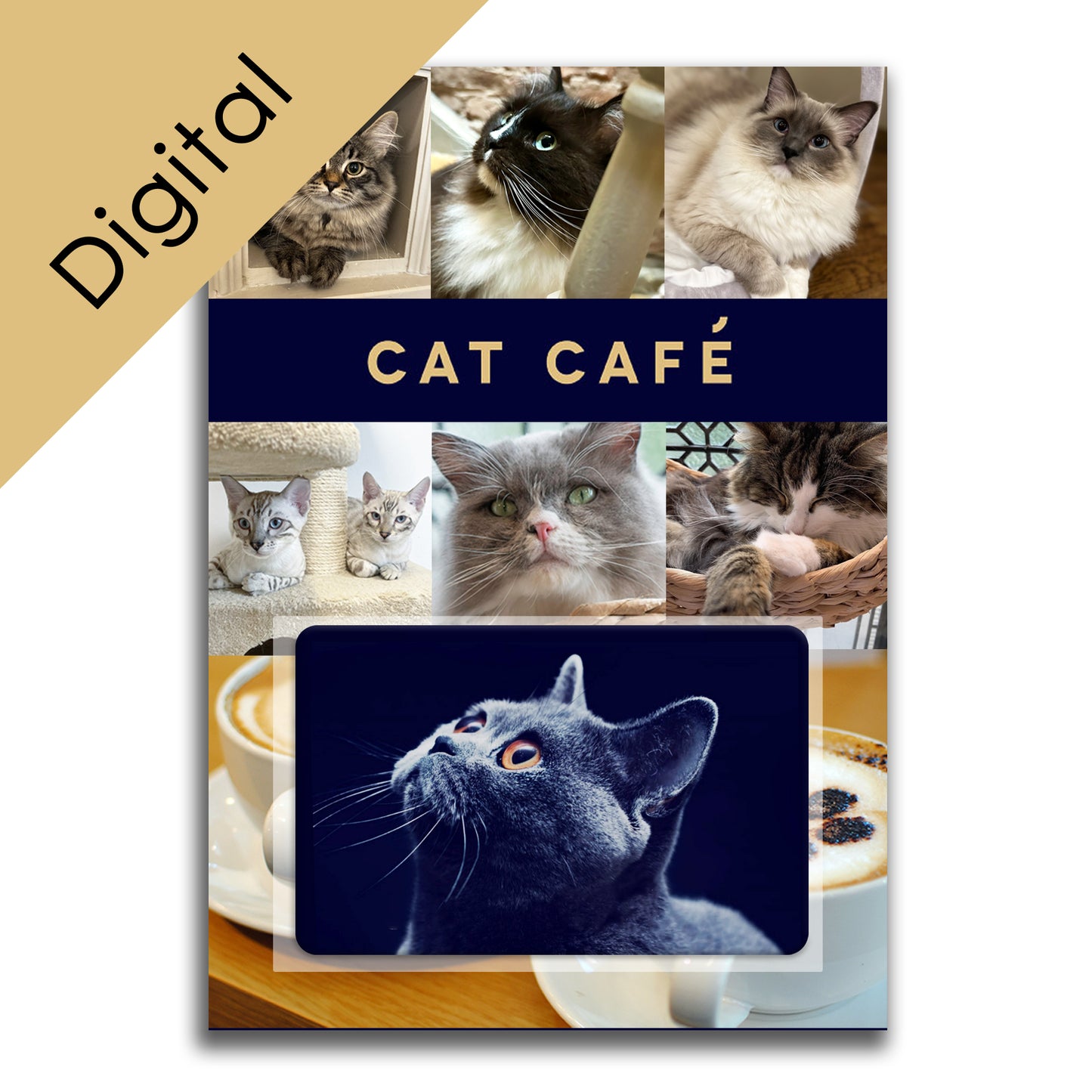 Cat Cafe Liverpool Gift Voucher - Digital Version