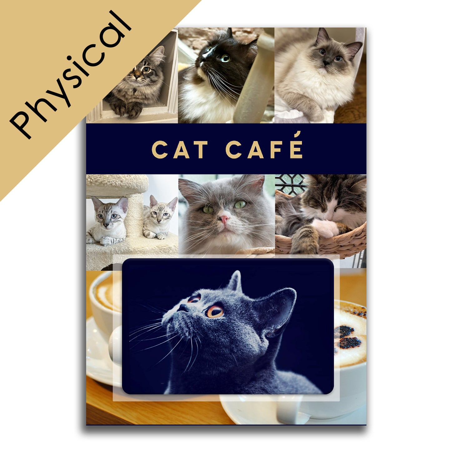 Cat Cafe Liverpool Gift Voucher - Physical Version