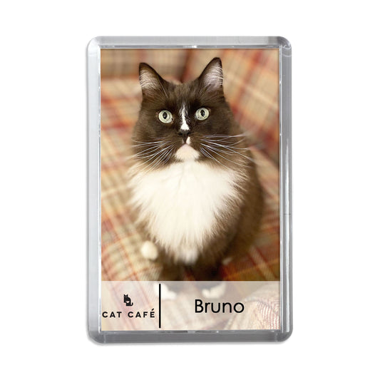 Cat Cafe Liverpool Magnet - Bruno