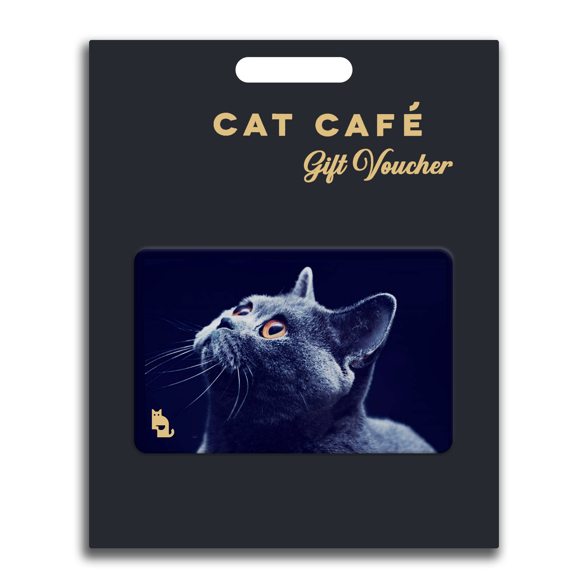 Cat Cafe Liverpool Gift Voucher - Physical Version