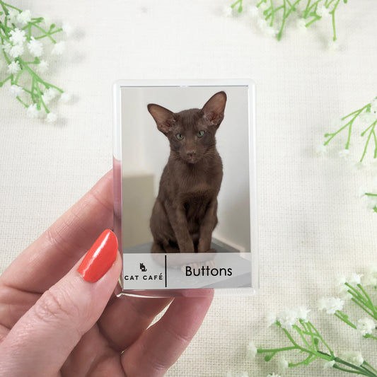 Cat Cafe Liverpool Magnet - Buttons