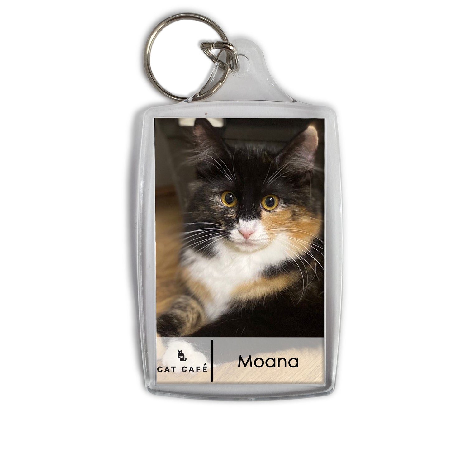 Cat Cafe Liverpool Keyring - Moana