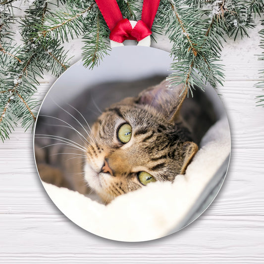 Sub Bauble - Full Photo