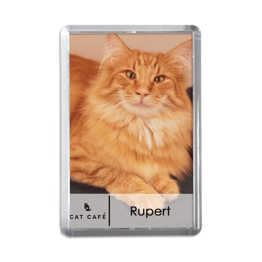 Cat Cafe Liverpool Magnet - Rupert