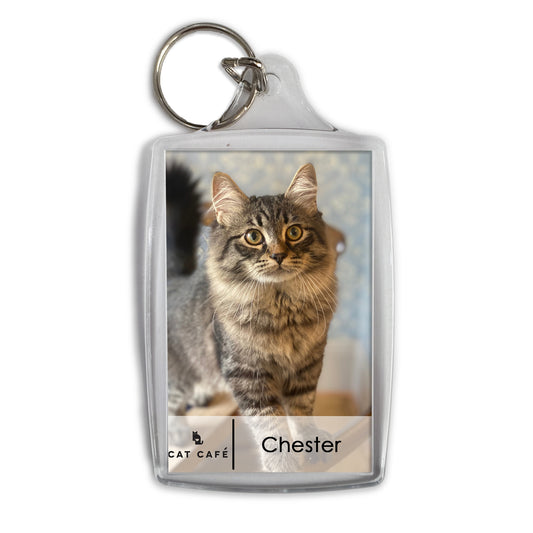 Cat Cafe Liverpool Keyring - Chester