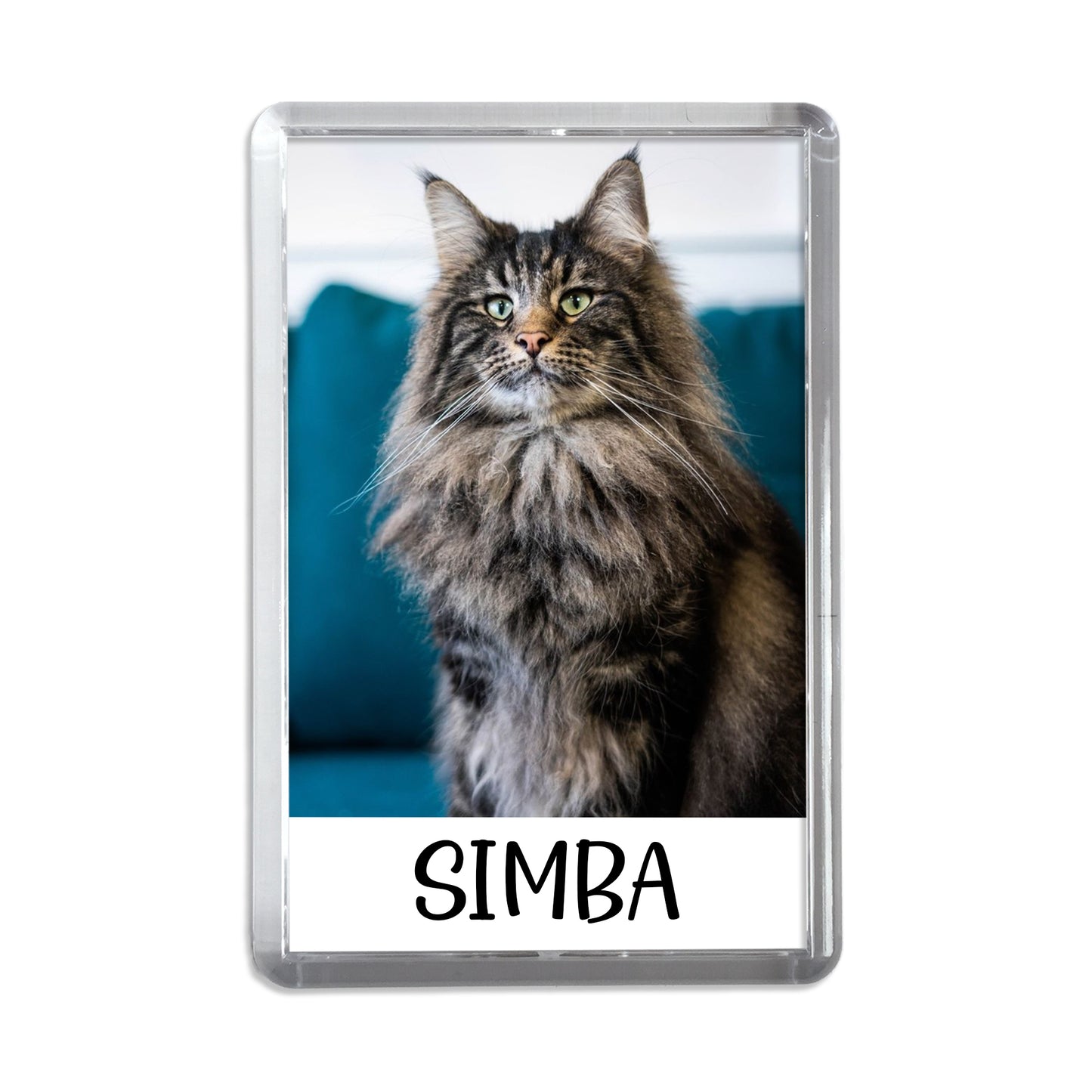 Personalised Photo Pet Magnet [Name]