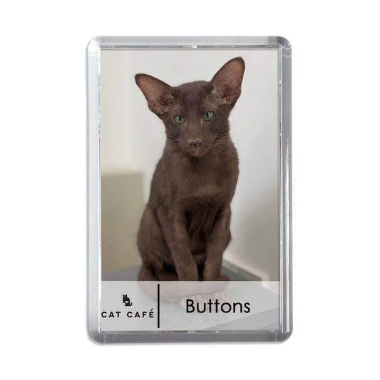 Cat Cafe Liverpool Magnet - Buttons