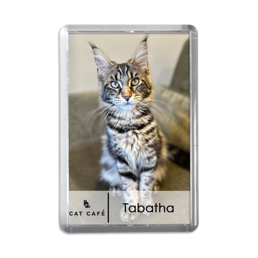 Cat Cafe Liverpool Magnet - Tabatha