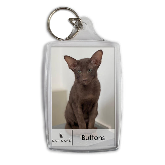 Cat Cafe Liverpool Keyring - Buttons